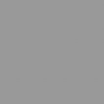 <b>Painted "Lacobel" RAL 9006.</b><br>Thickness - 4 mm</br>